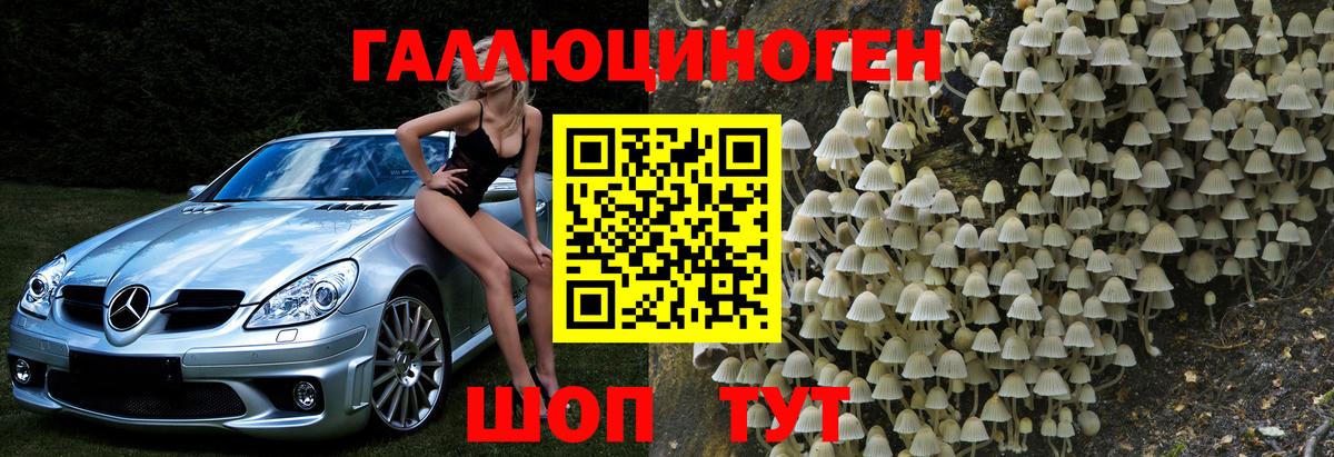 Галлюциногенные грибы GOLDEN TEACHER Кыштым