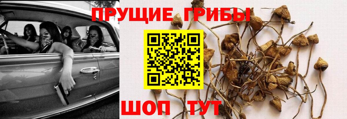 Галлюциногенные грибы мухоморы  Вход с VPN  Кыштым 